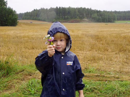 Harald letar efter sommarens sista blommor