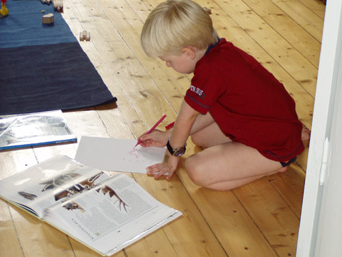 Harald ritar dinosaurier